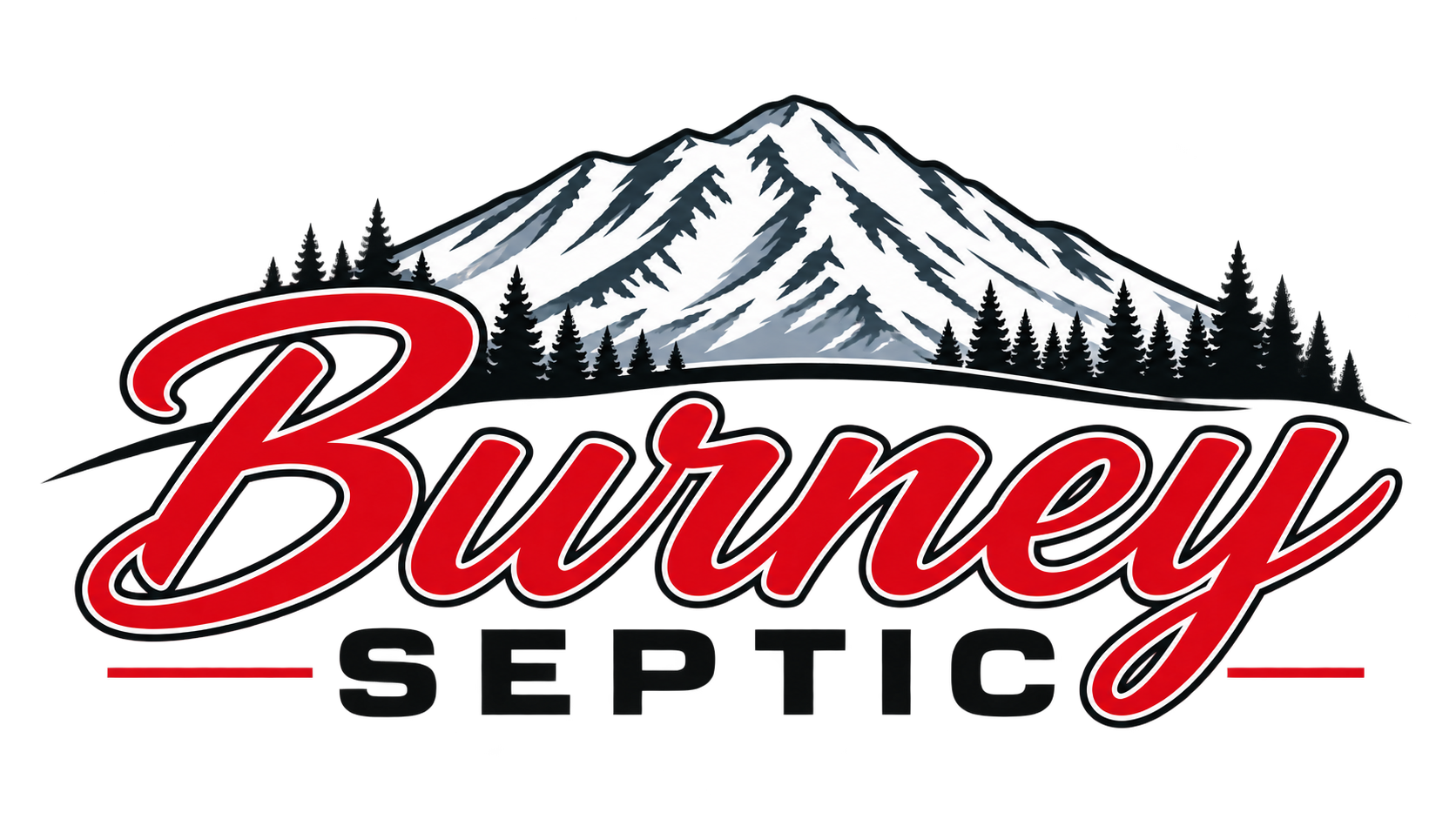 Burney Septic logo